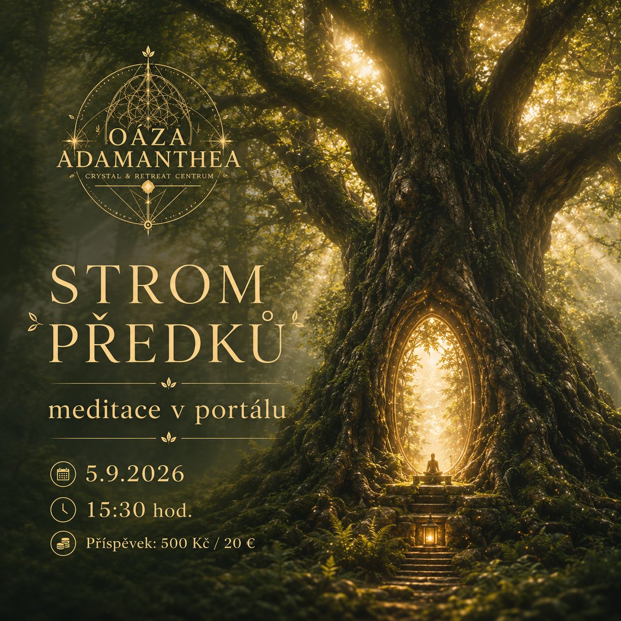 STROM PŘEDKŮ - meditace v portálu